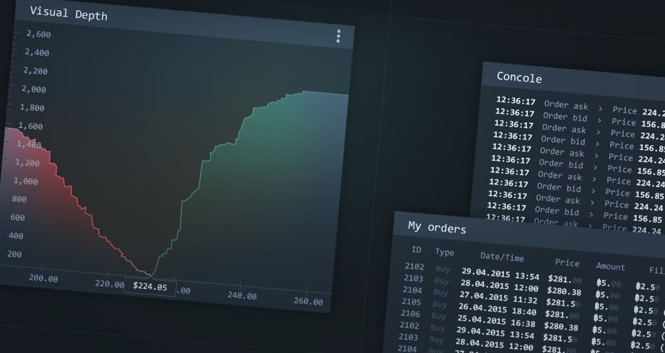 Visual Depth, My orders, Console screens of Bitnetwork platform