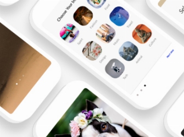 PWA, React Native, Flutter or Native App Development preview image